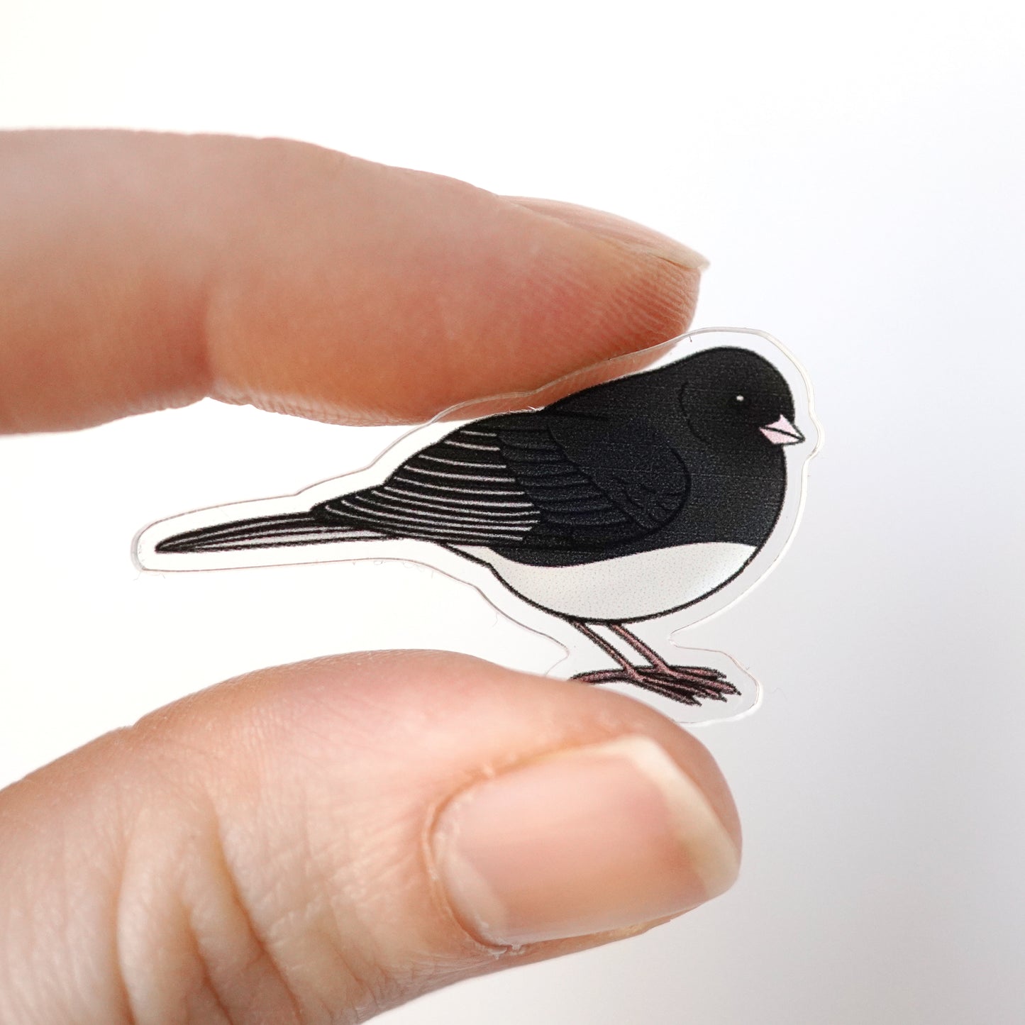 Dark Eyed Junco Acrylic Pin