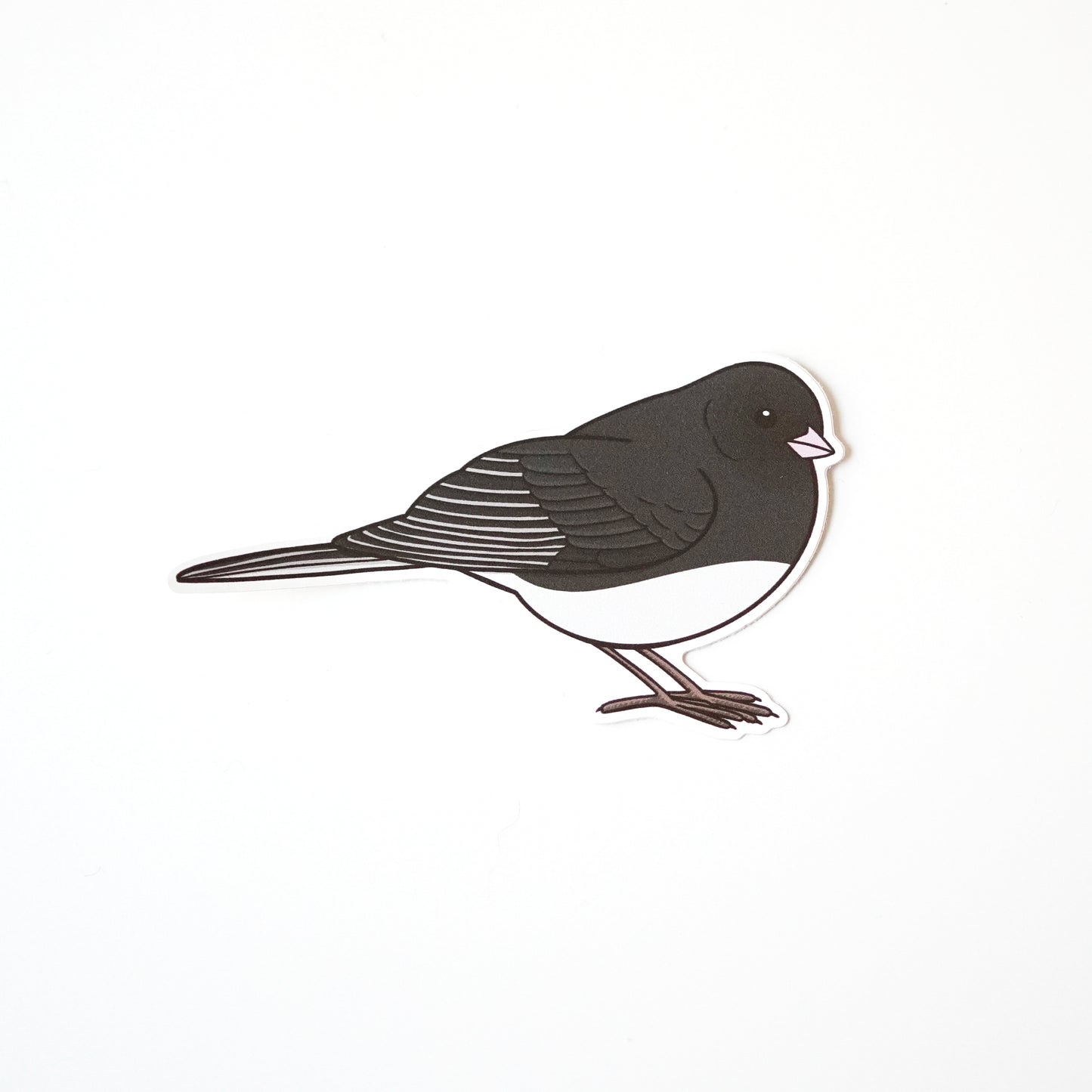 Dark Eyed Junco Sticker