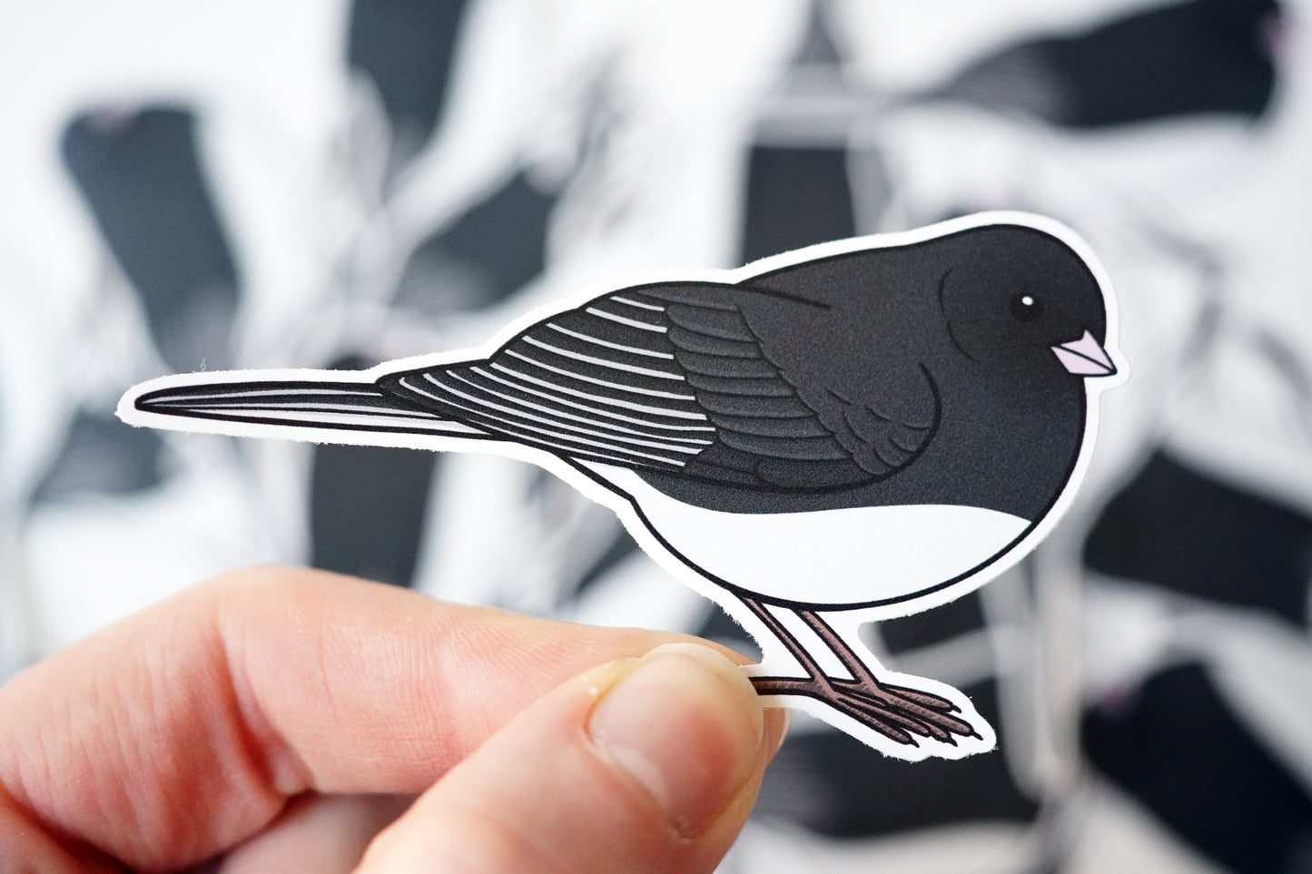 Dark Eyed Junco Sticker