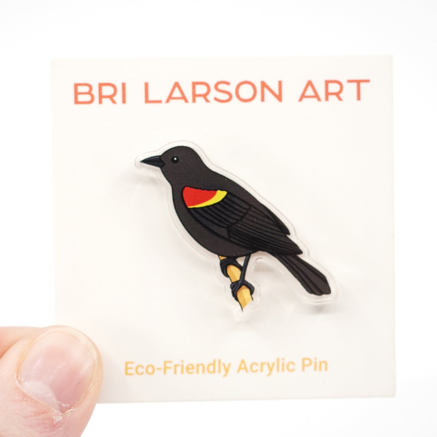 Red Winged Blackbird Acrylic Pin