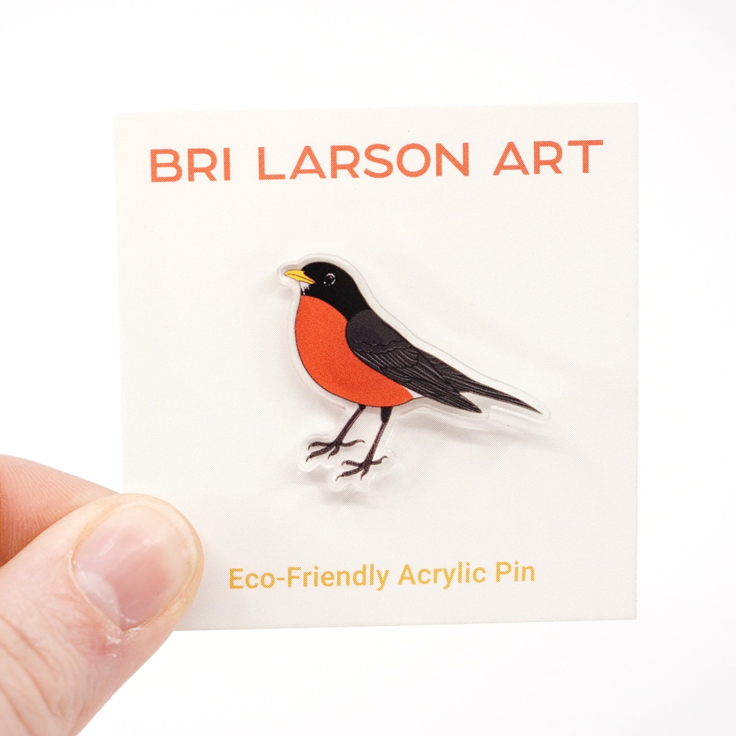 Robin Acrylic Pin
