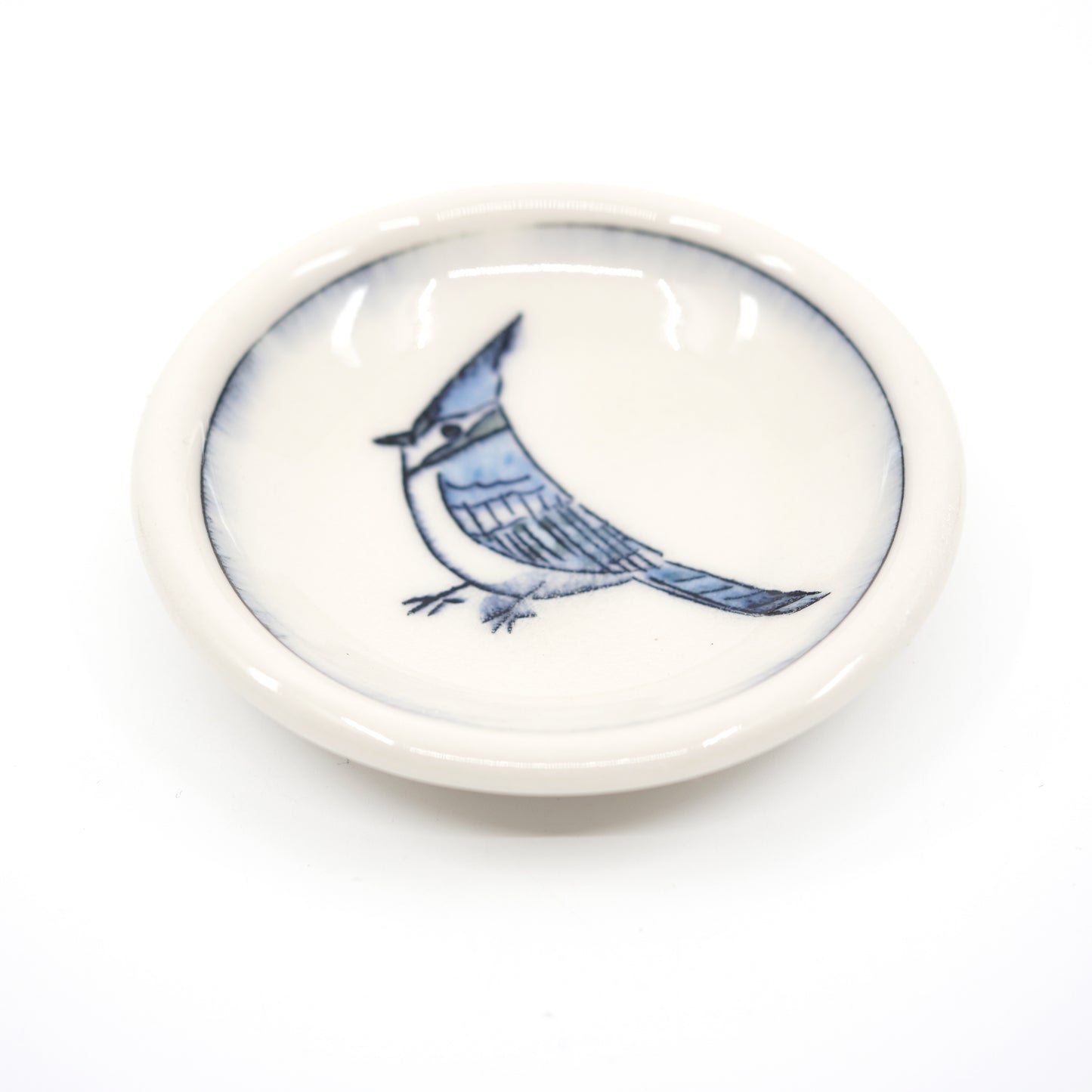 Blue Jay Dish