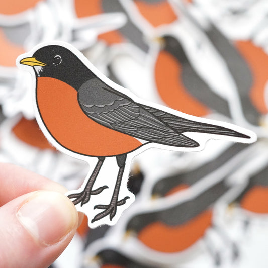 Robin Sticker