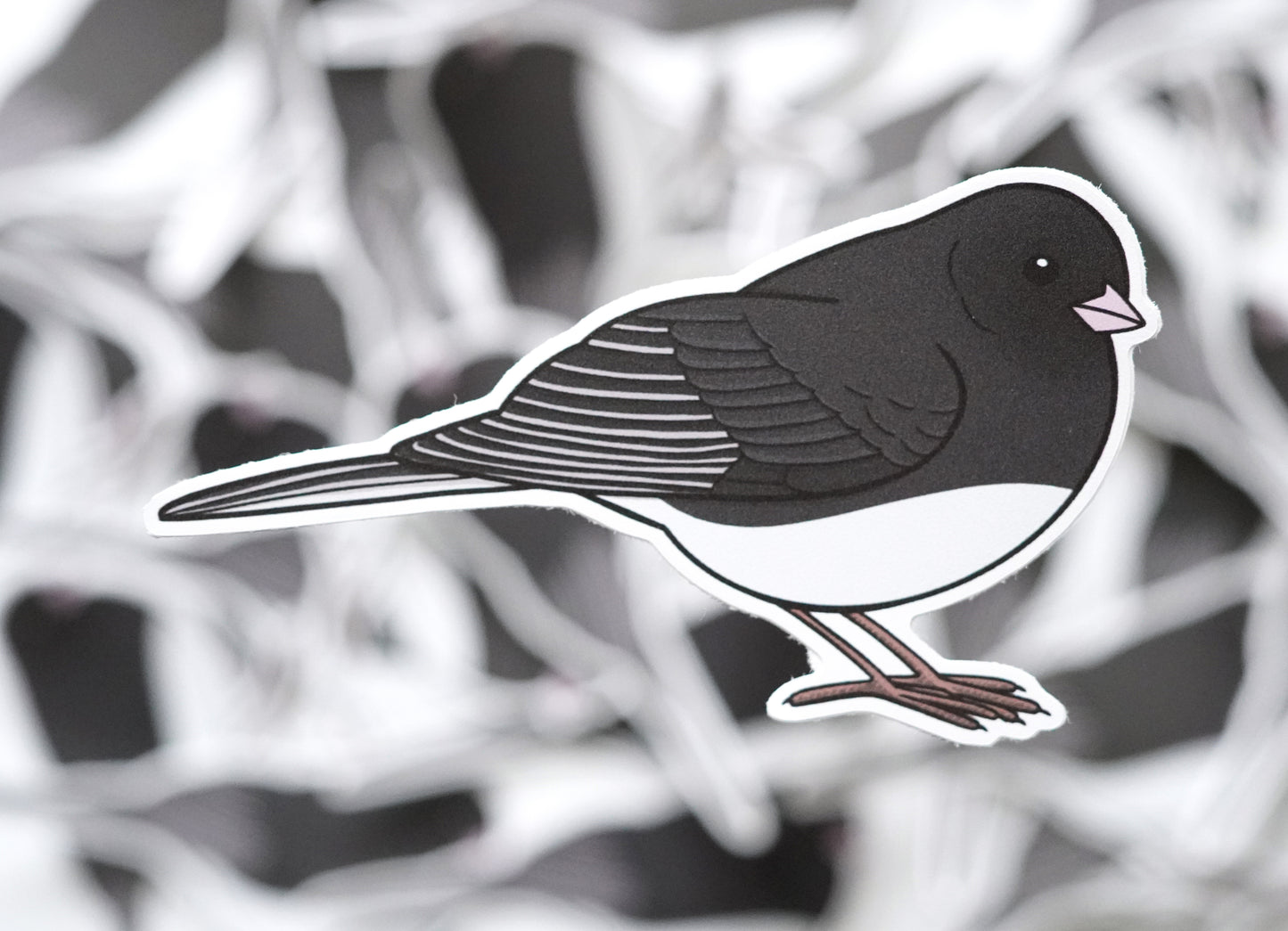 Dark Eyed Junco Sticker