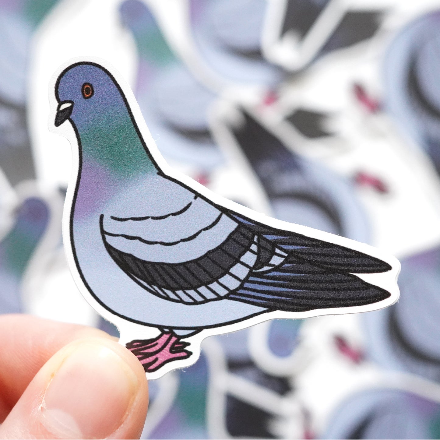 Pigeon Sticker