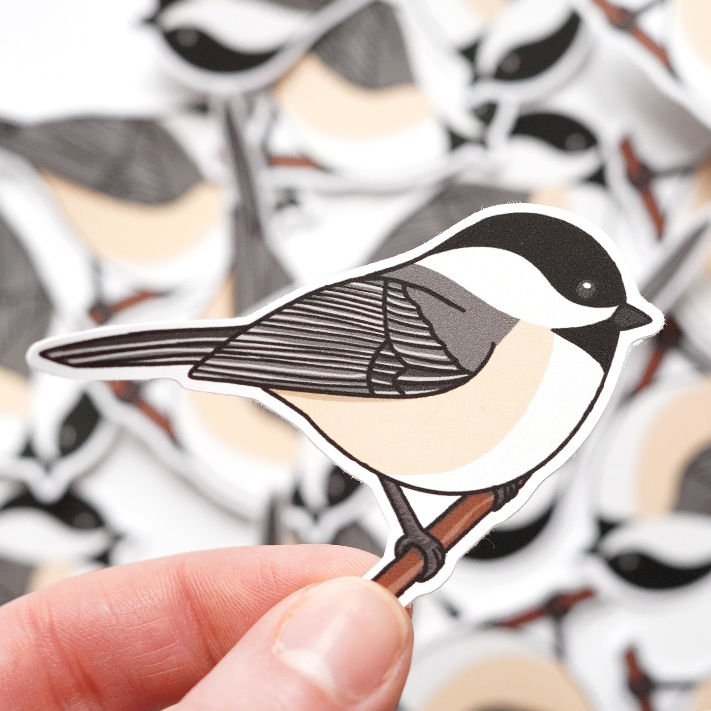 Chickadee Sticker