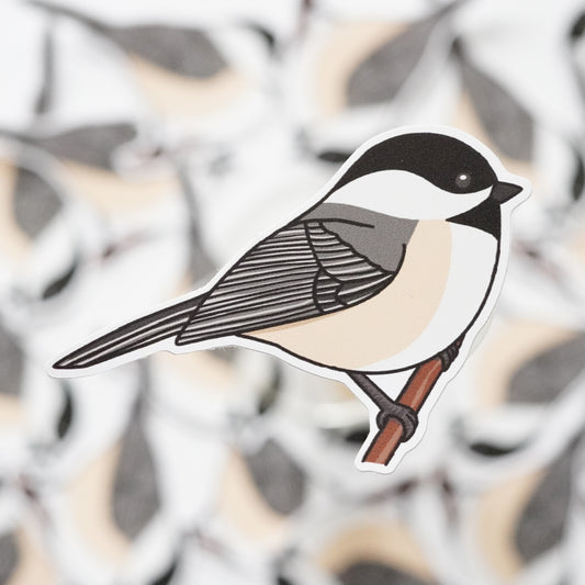 Chickadee Sticker