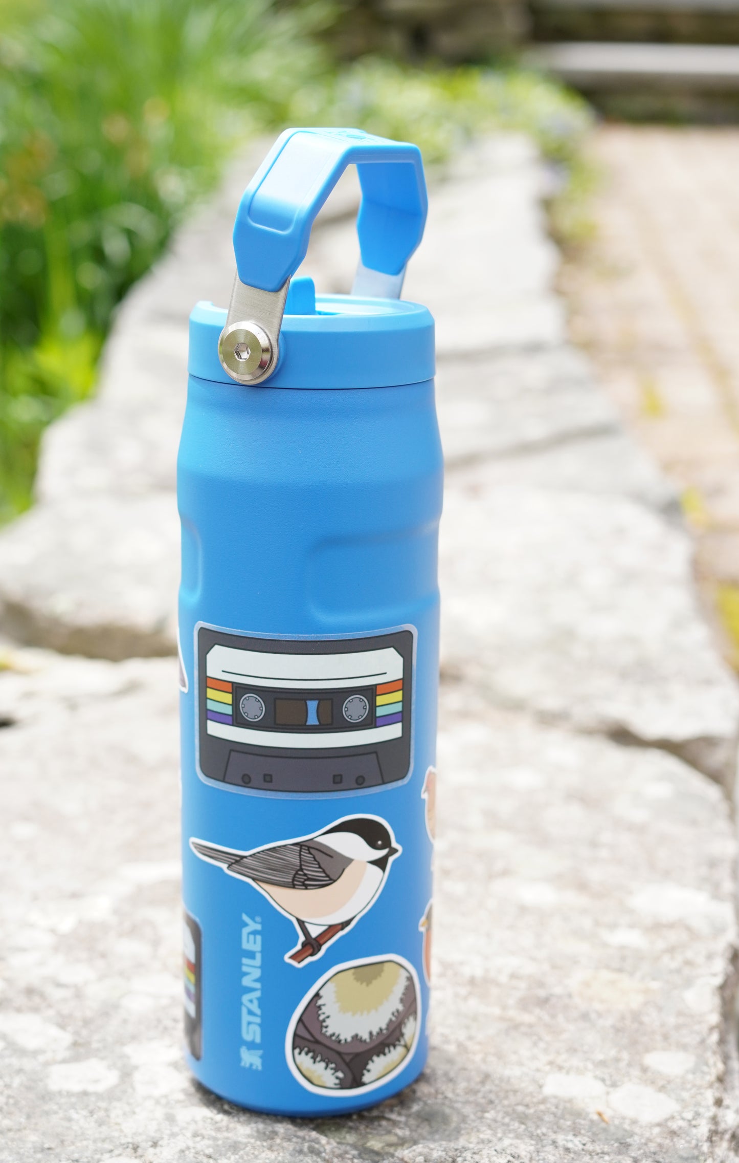 Chickadee Sticker