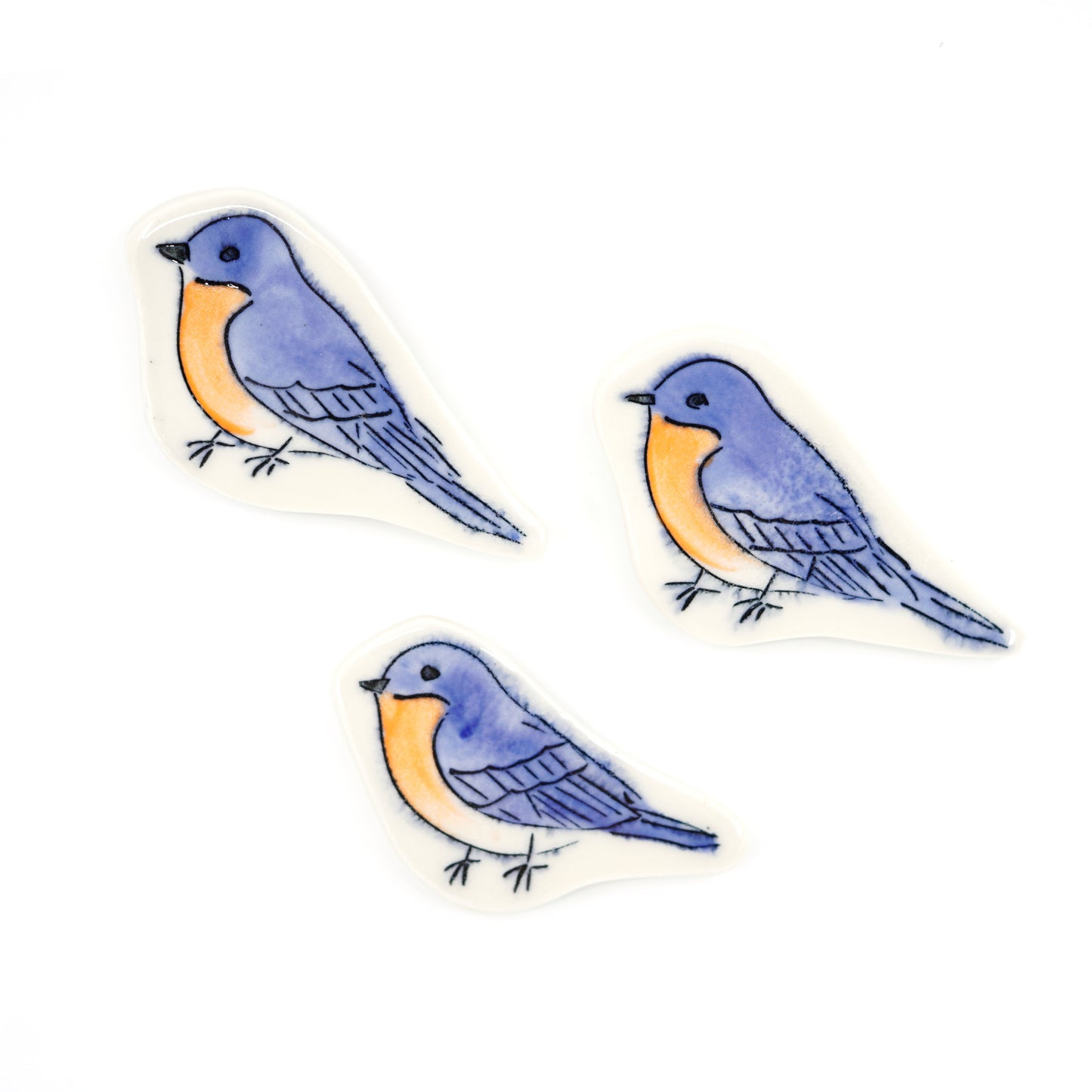 Bluebird Magnet
