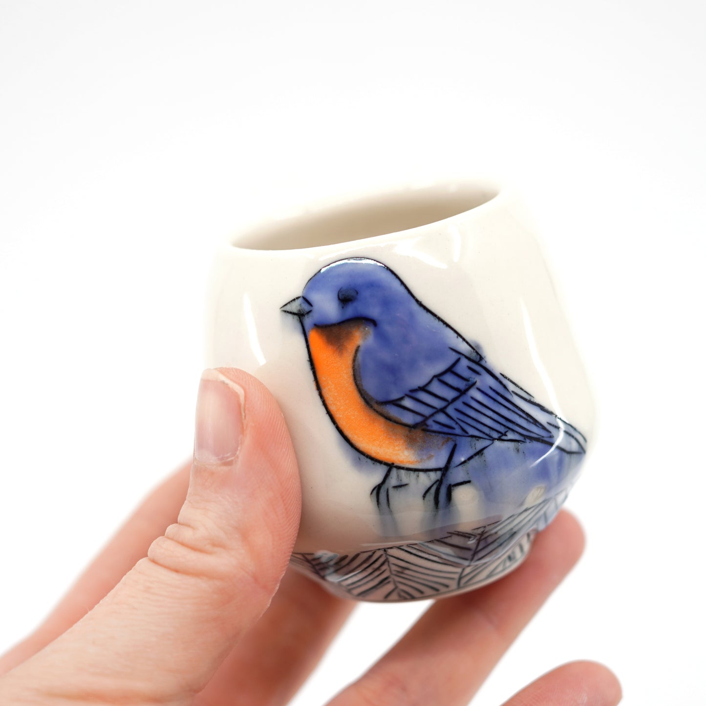 Bluebird Sipper