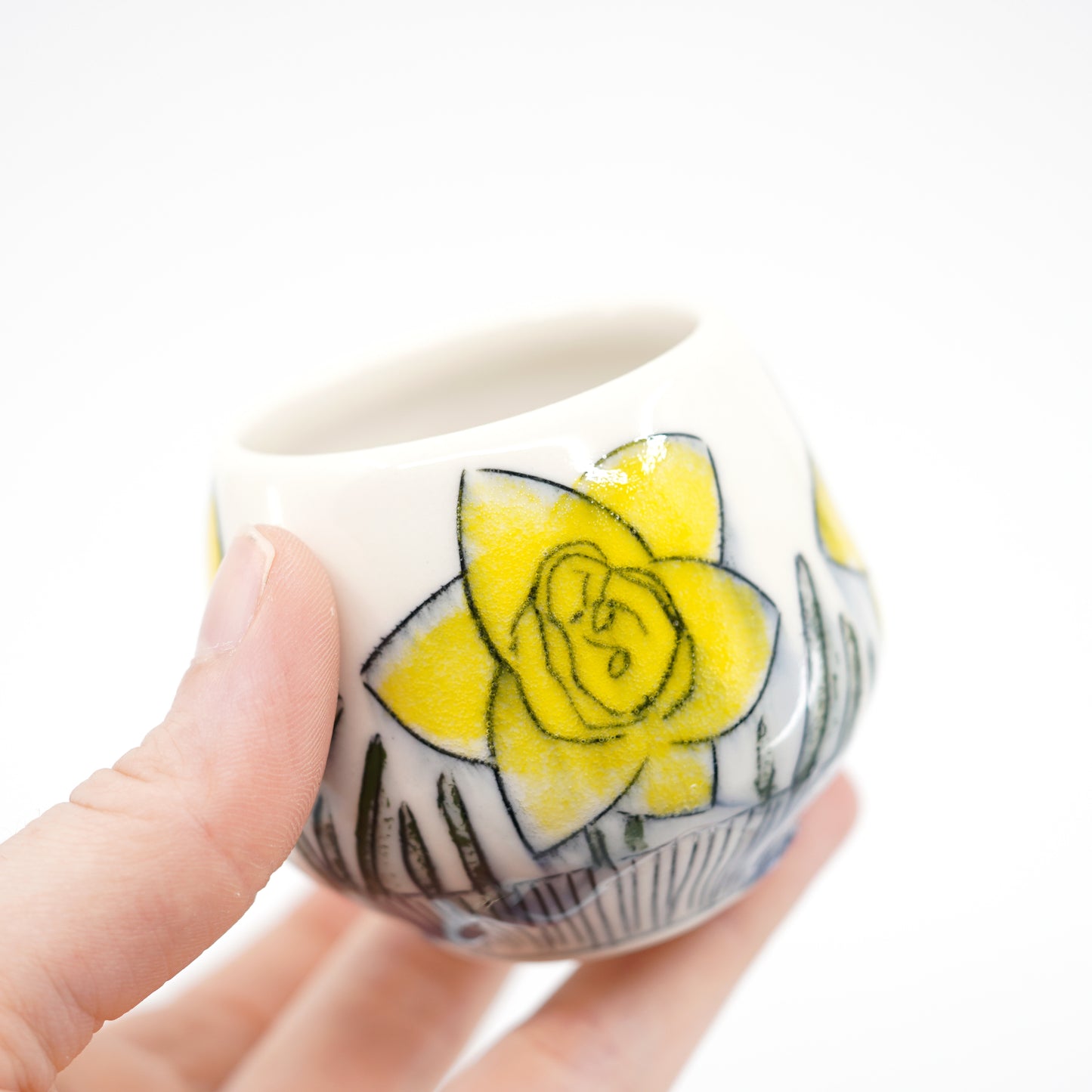 Daffodil Sipper