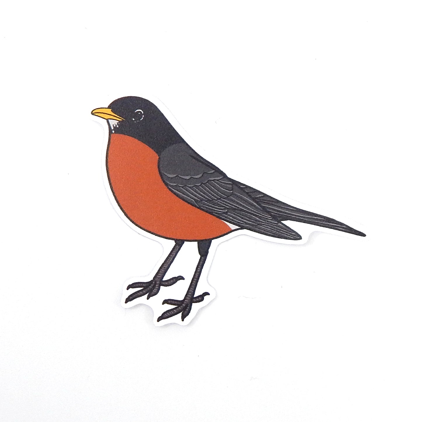 Robin Sticker