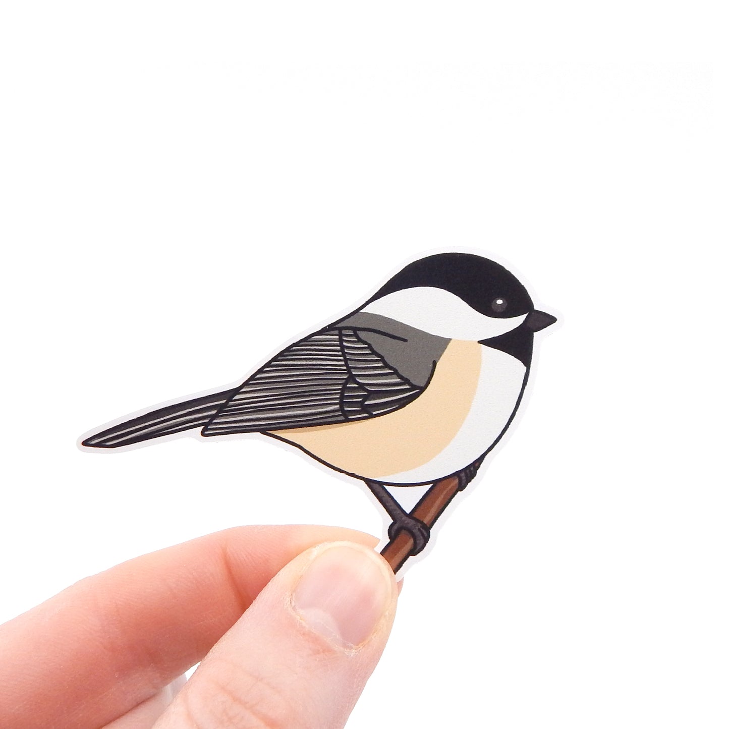 Chickadee Sticker