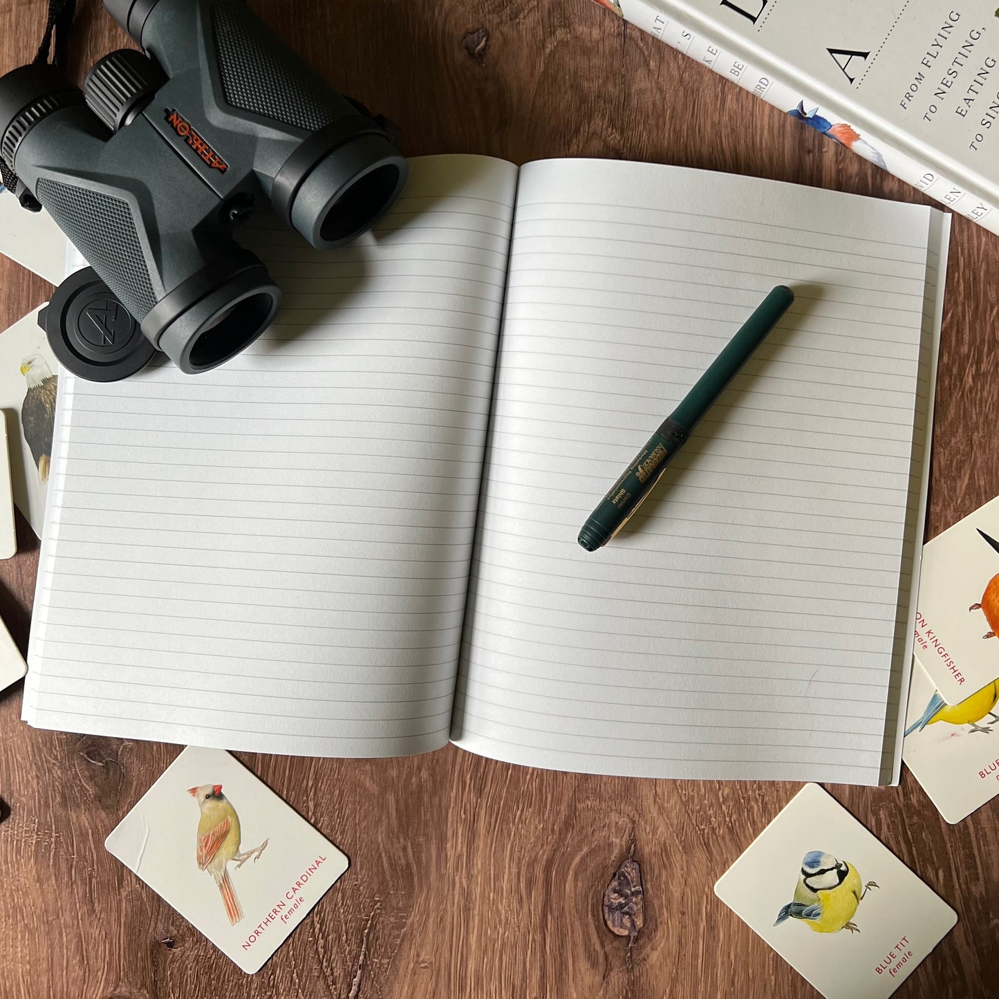 Tufted Titmouse Journal