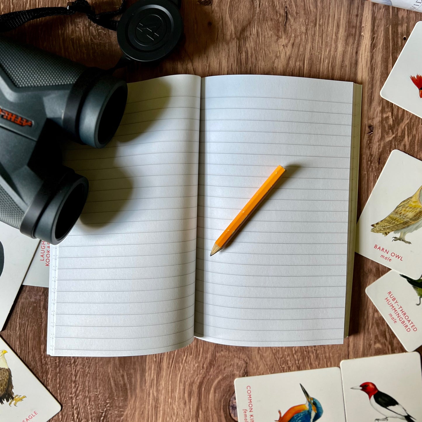 Chickadee Notebook