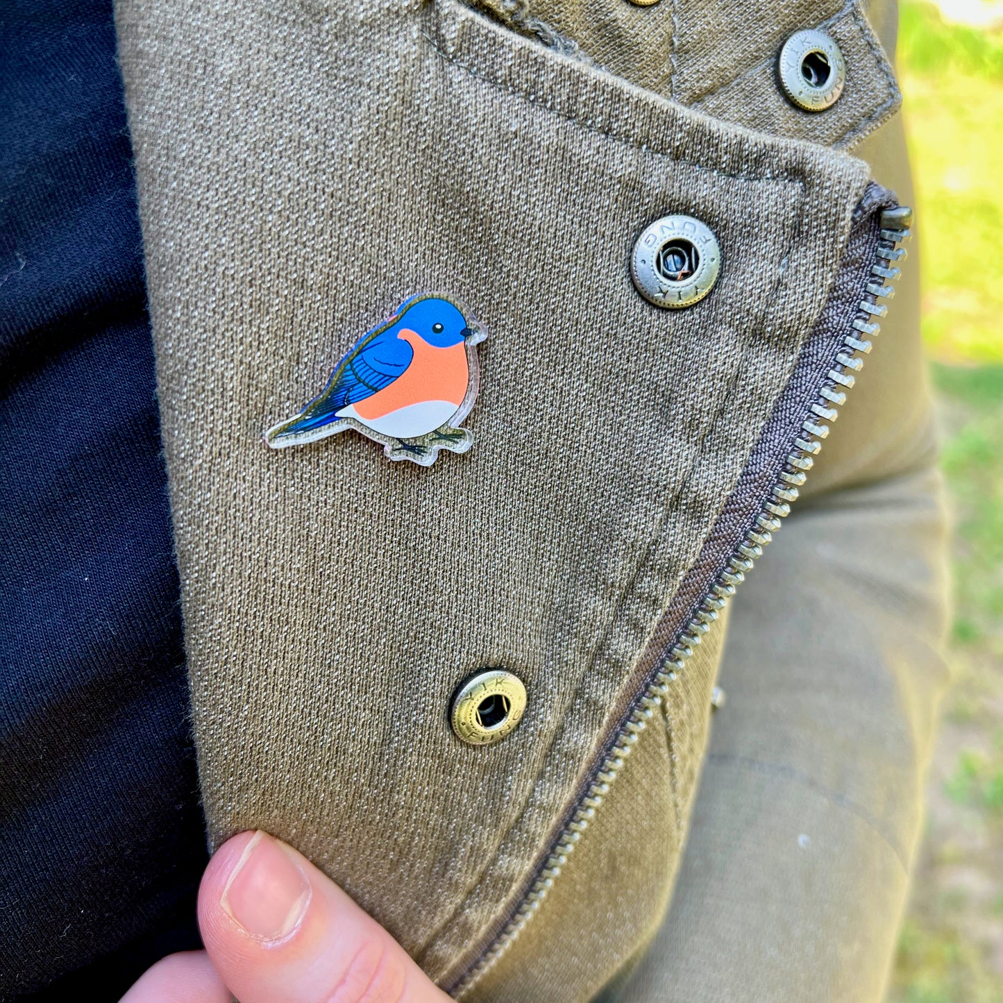 Bluebird Acrylic Pin