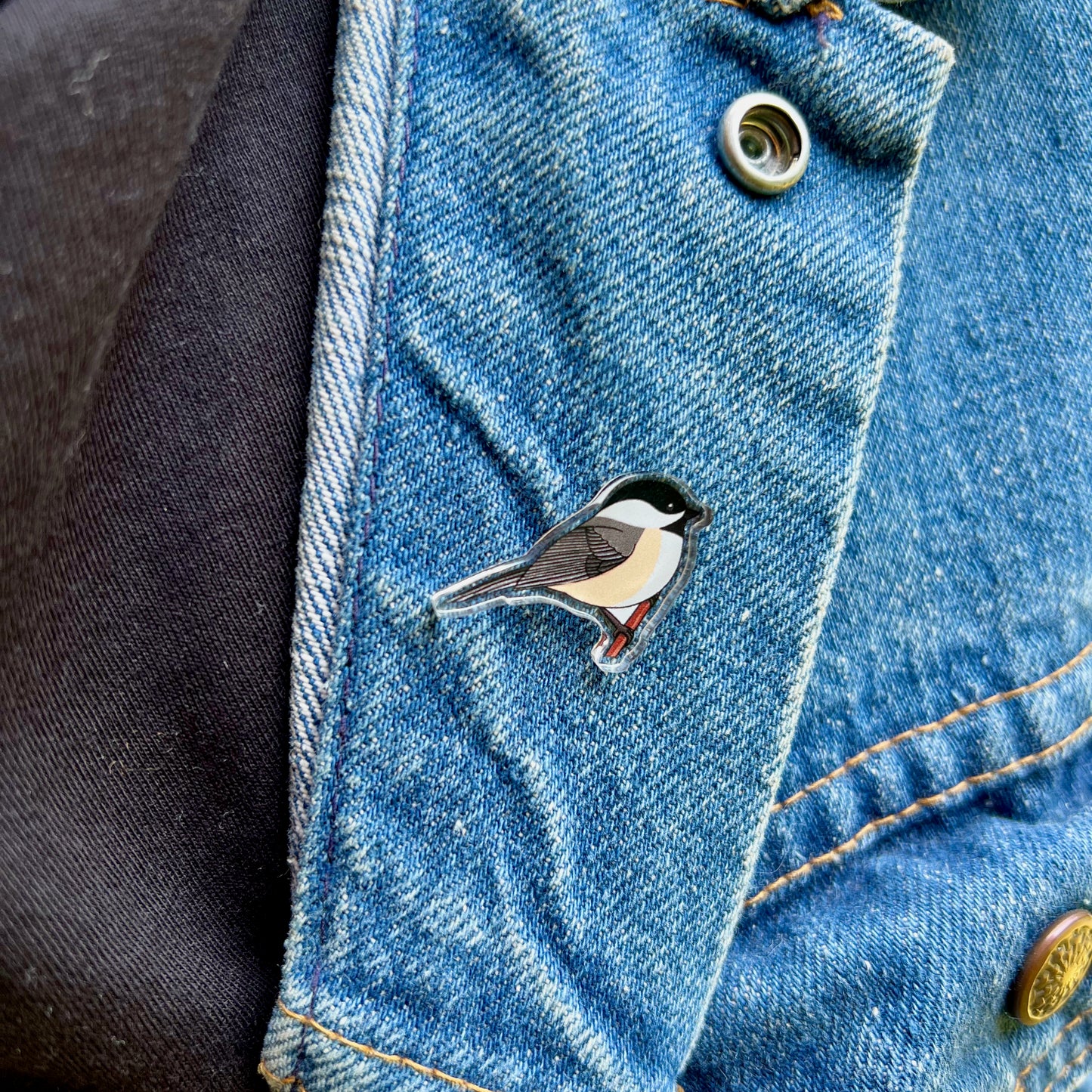 Chickadee Acrylic Pin