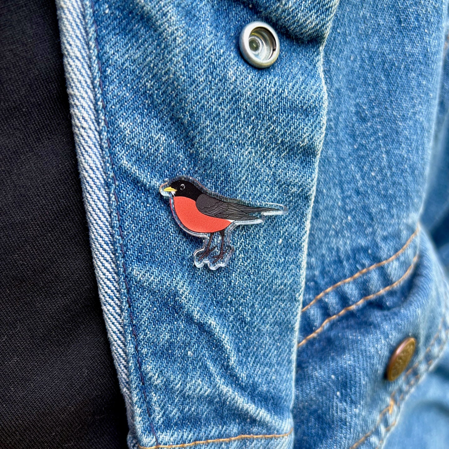 Robin Acrylic Pin
