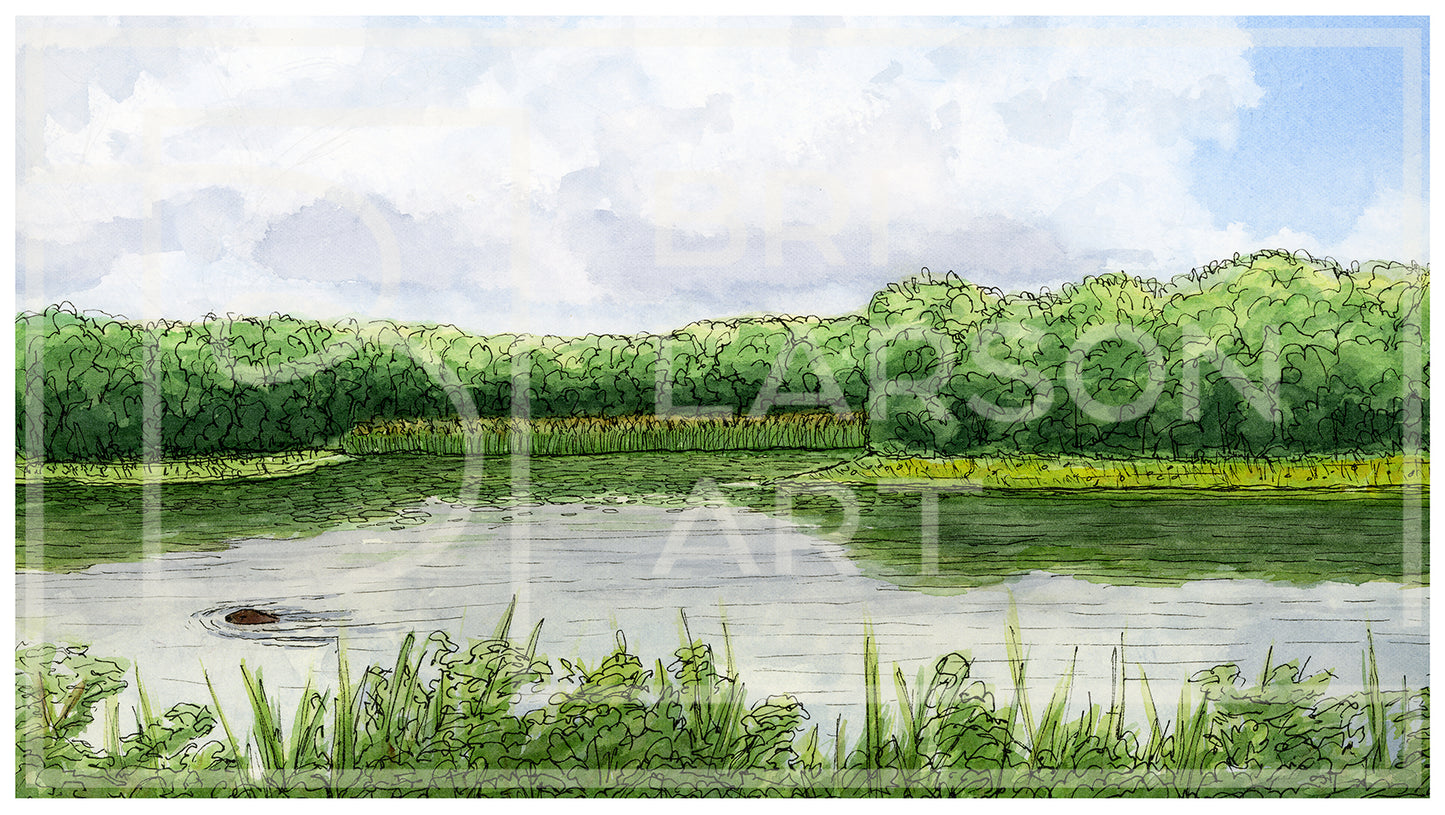 Beaver Pond - [Print]