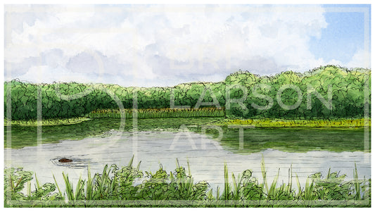 Beaver Pond - [Print]