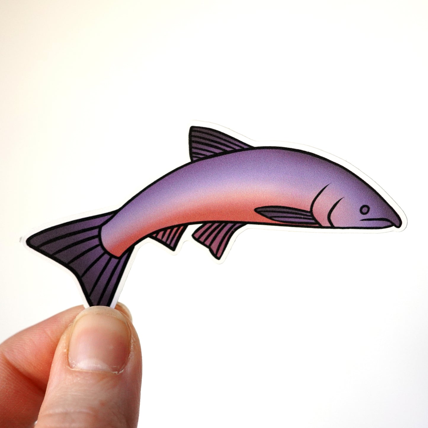 Coho Salmon Sticker