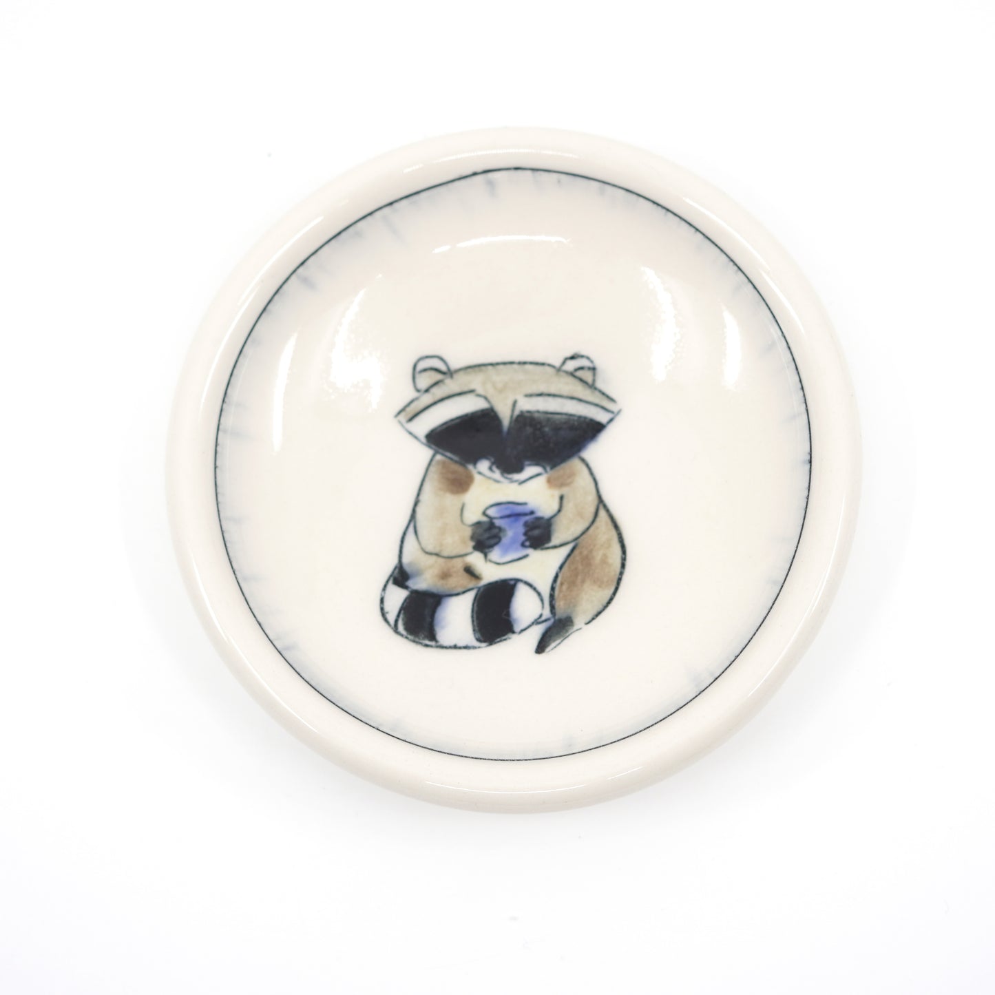Raccoon Dish
