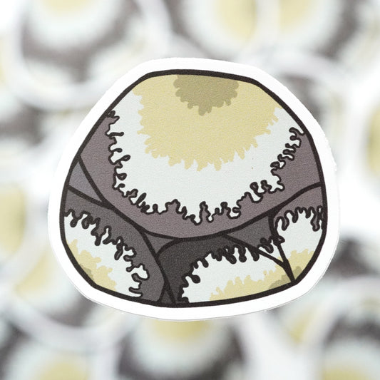 Lichen Rock Sticker