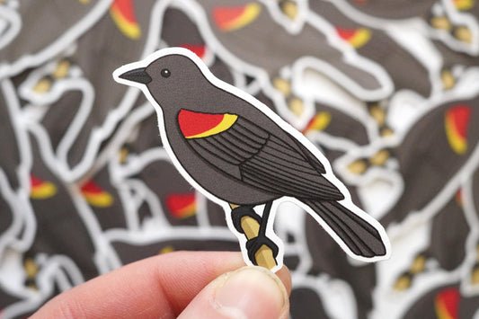 Red Winged Blackbird Sticker