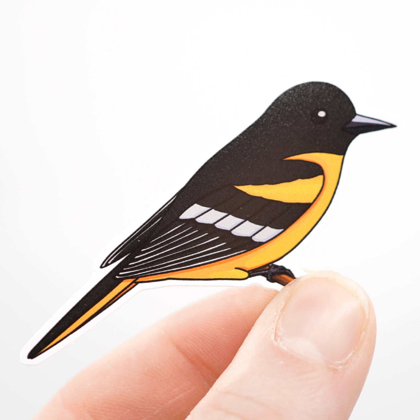 Baltimore Oriole Sticker