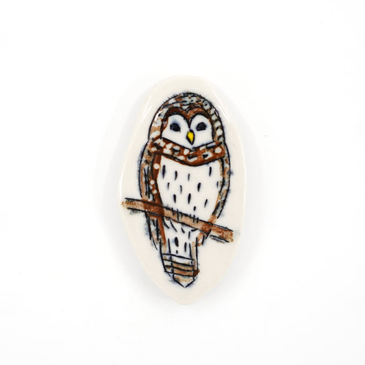 Barred Owl Magnet