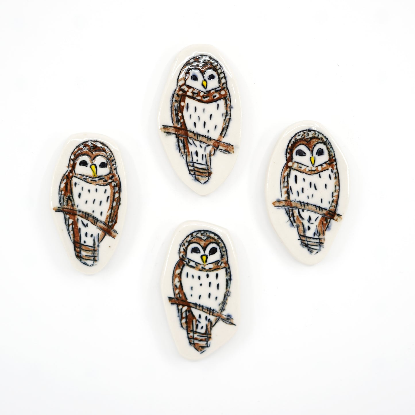 Barred Owl Magnet