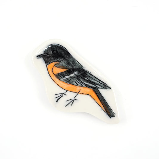 Baltimore Oriole Magnet