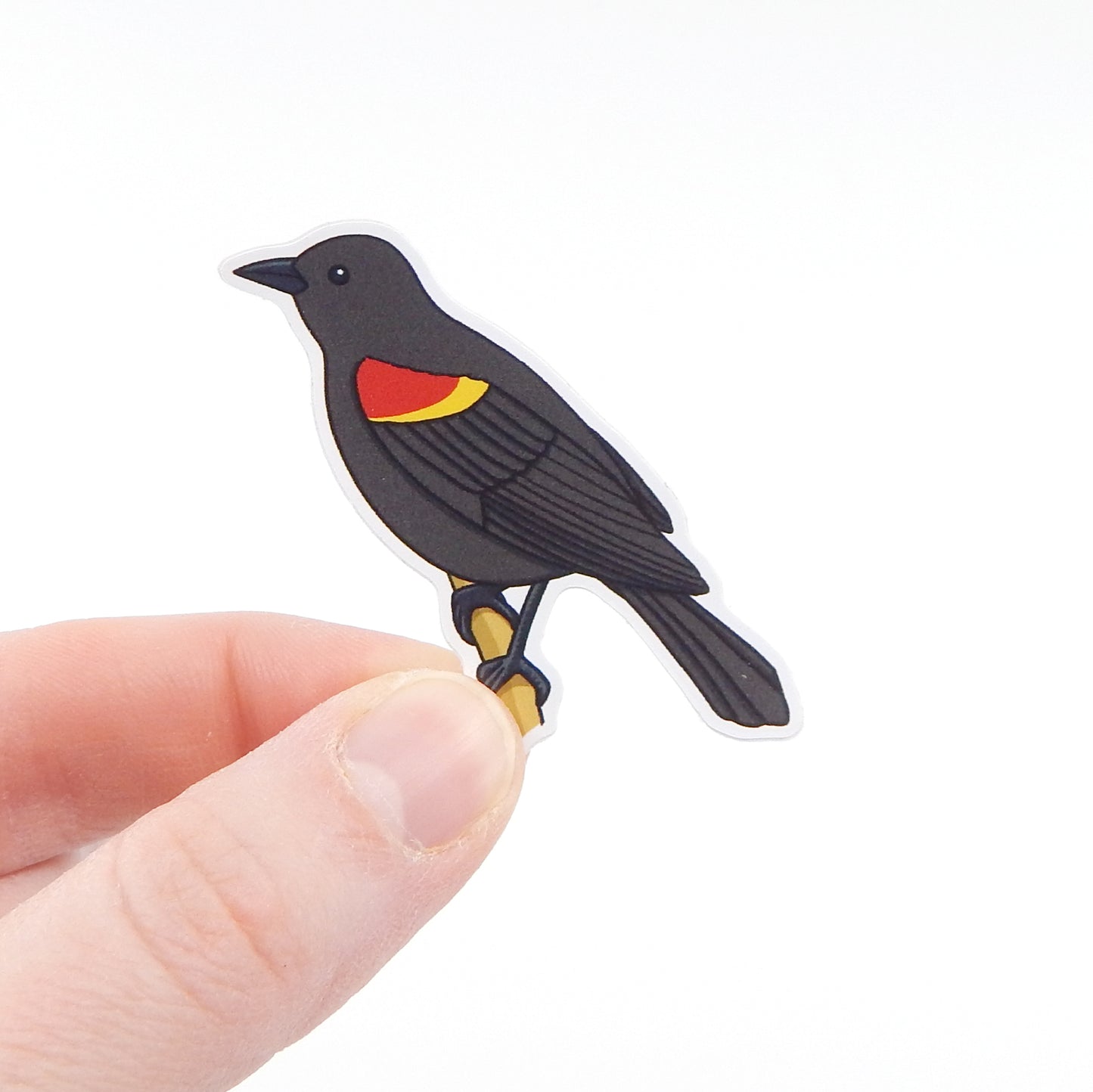 Red Winged Blackbird Sticker