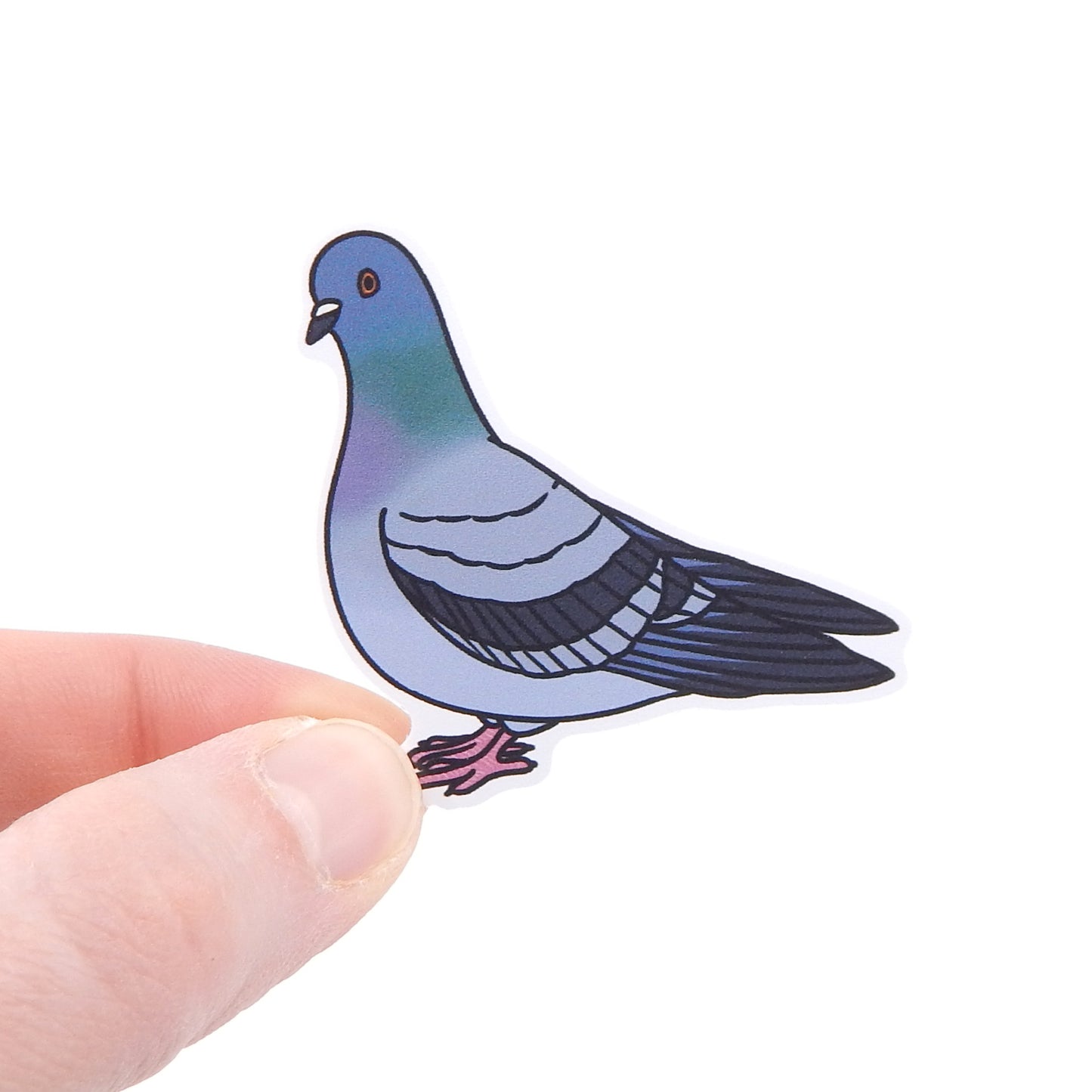 Pigeon Sticker – Bri Larson Art