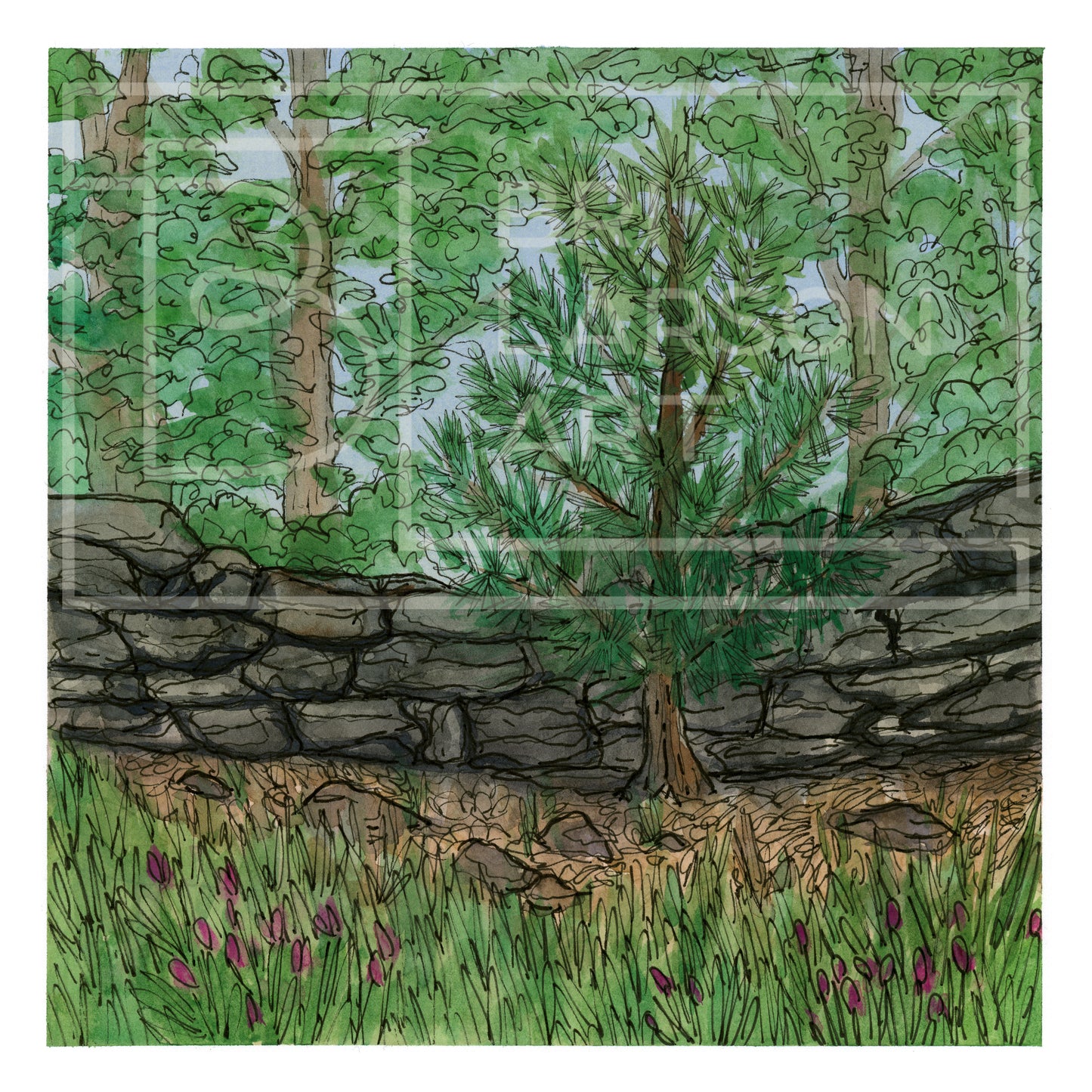 Old Stone Wall - [Print]