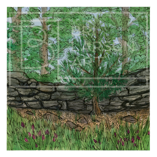 Old Stone Wall - [Print]