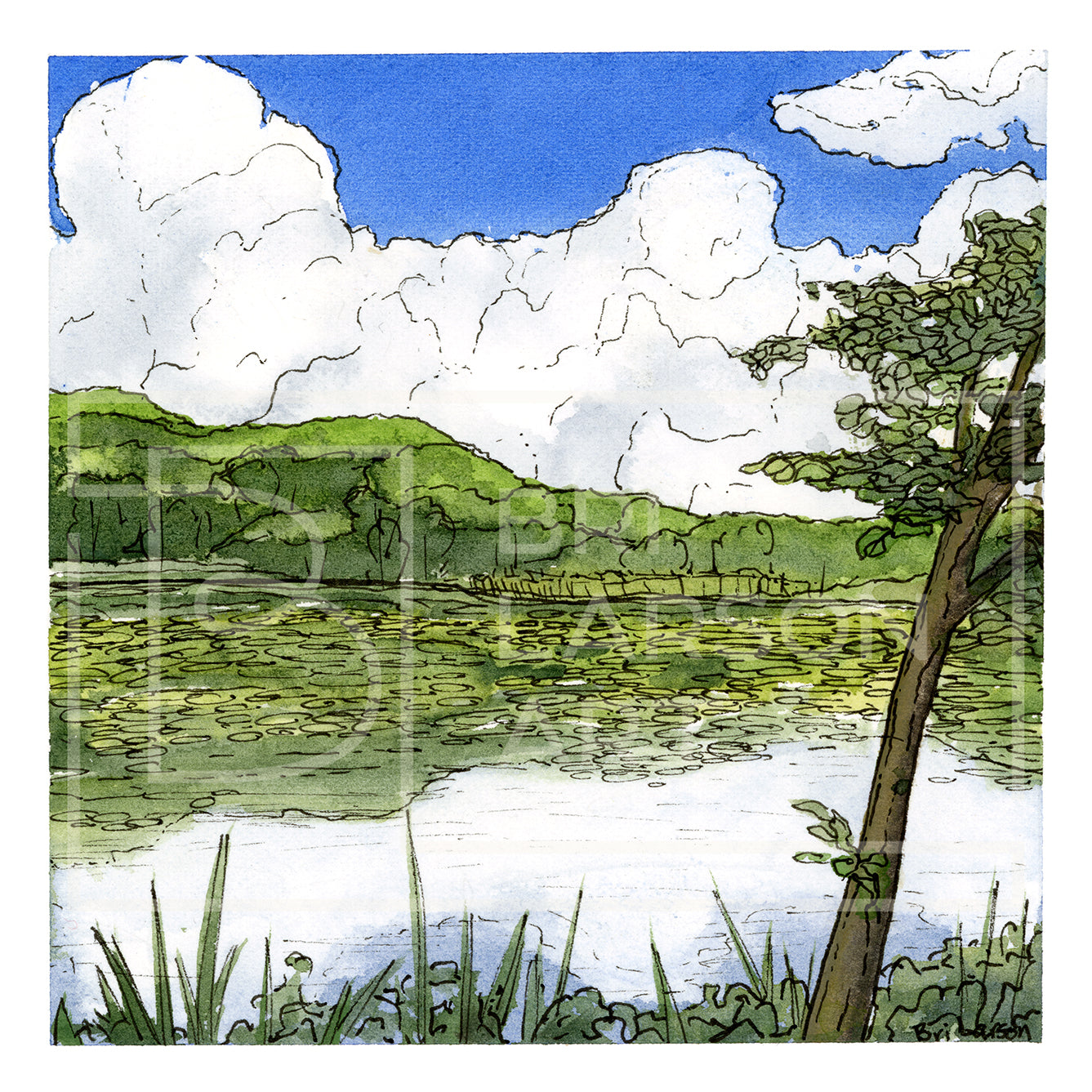 Day Meadow Pond - Sunny [Print]