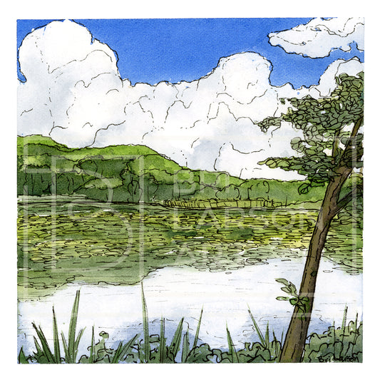 Day Meadow Pond - Sunny [Print]
