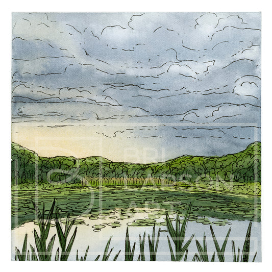 Day Meadow Pond - Cloudy [Print]